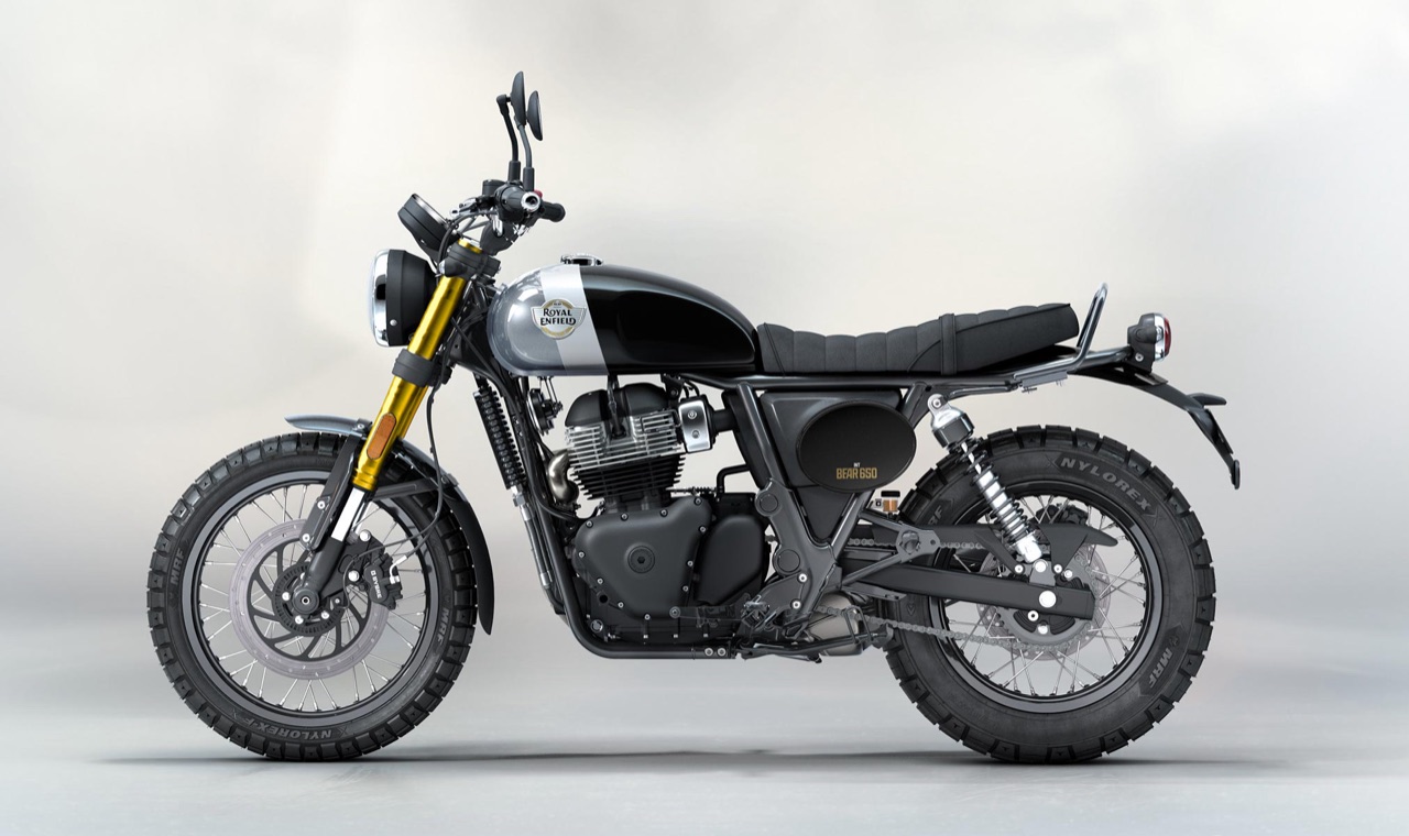 bear650