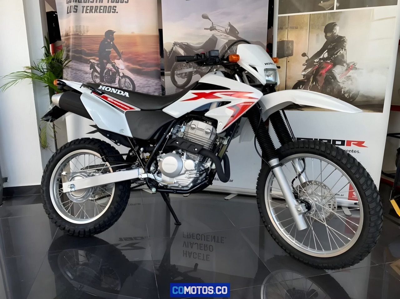 2006 Honda XR250 Tornado