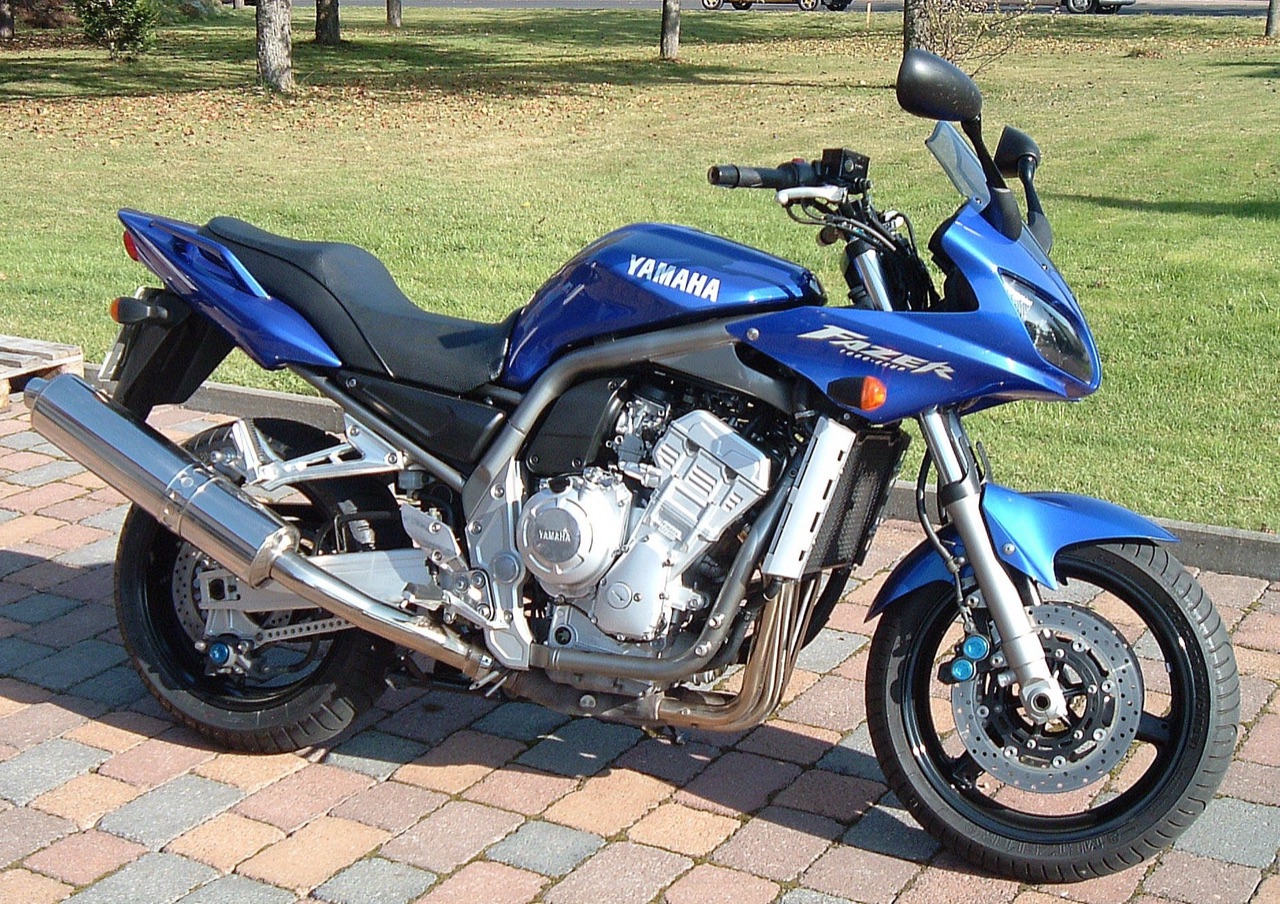 1996 FZS1000